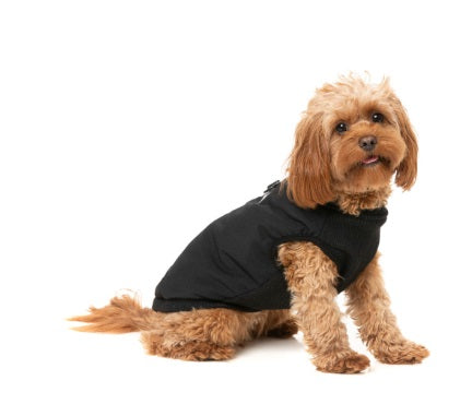 Fuzzyard Bodywarmer East MacGyver zwart