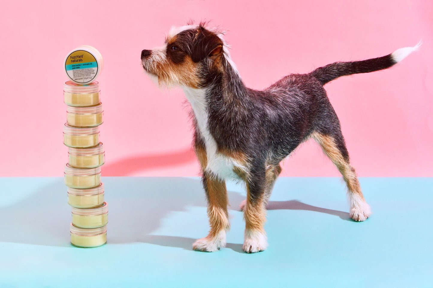 FuzzYard Paw Balm | Benodigdheden voor honden | FuzzYard Paw Balm