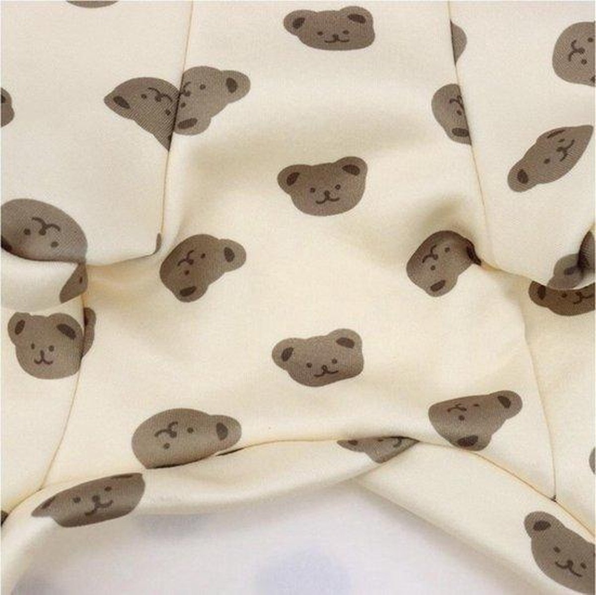 Hondentrui beige met beertjes