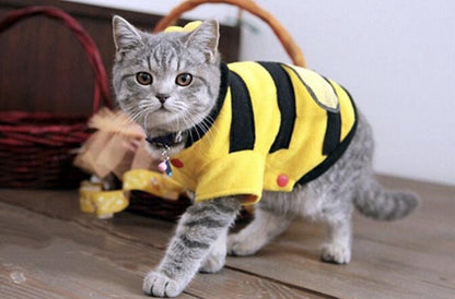 Bijen trui voor honden en katten