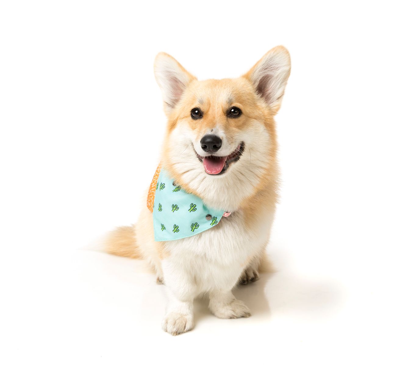 FuzzYard Bandana Tucson | Hondenkleding | FuzzYard Bandana Tucson