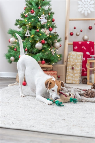 Trixie Xmas Luiaard Pluche / Flostouw