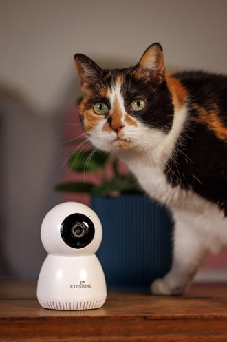 Numaxes Eyenimal Pet Vision Live Hd Camera Zonder Geluid Detectie