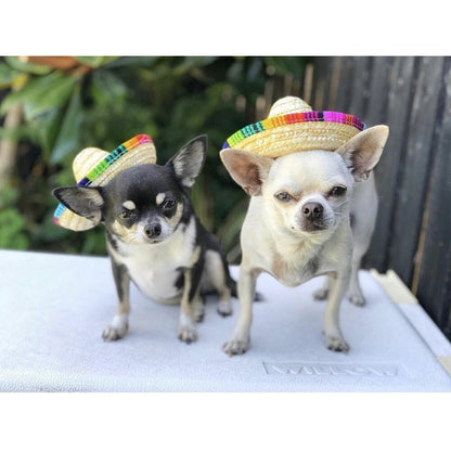 Mexicaanse hoed voor honden