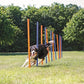 Trixie dog activity agility slalom stokken